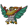 Dark Hawlucha (Mega)